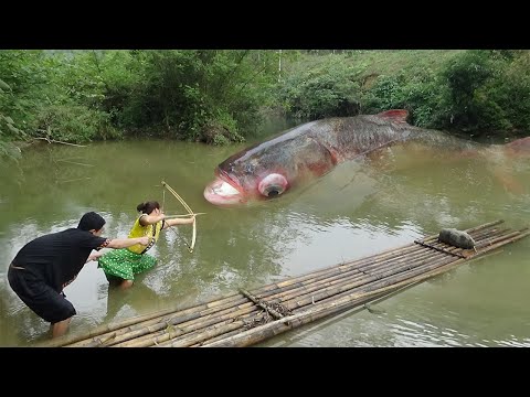 Primitive Life: Wild Life Catch Big Fish by Bow And Arrow – Survival Skills Unique Hand Fishing