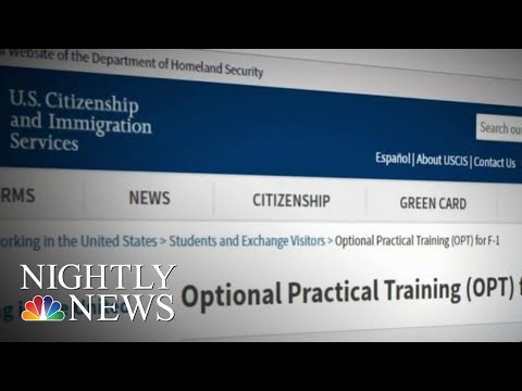 Fake Companies Exploiting Federal Student Visa Program | NBC Nightly News