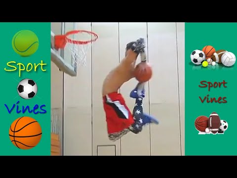 The Best Sports Vines January 2020 (Part 2)