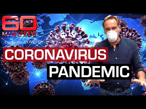 Journalist goes undercover at “wet markets”, where the Coronavirus started | 60 Minutes Australia