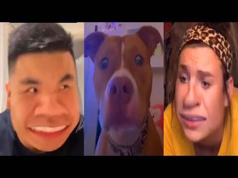 The Best Funny Tik Tok US – UK Compilation Of April 2020 #49